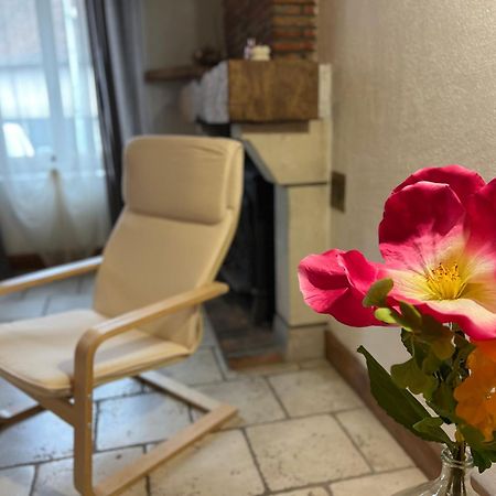 Rigolet Maison En Ville Avec Piscine Interieure Le Controis-en-Sologne Eksteriør billede